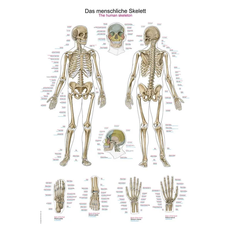 doccheckshop20260710182948657852