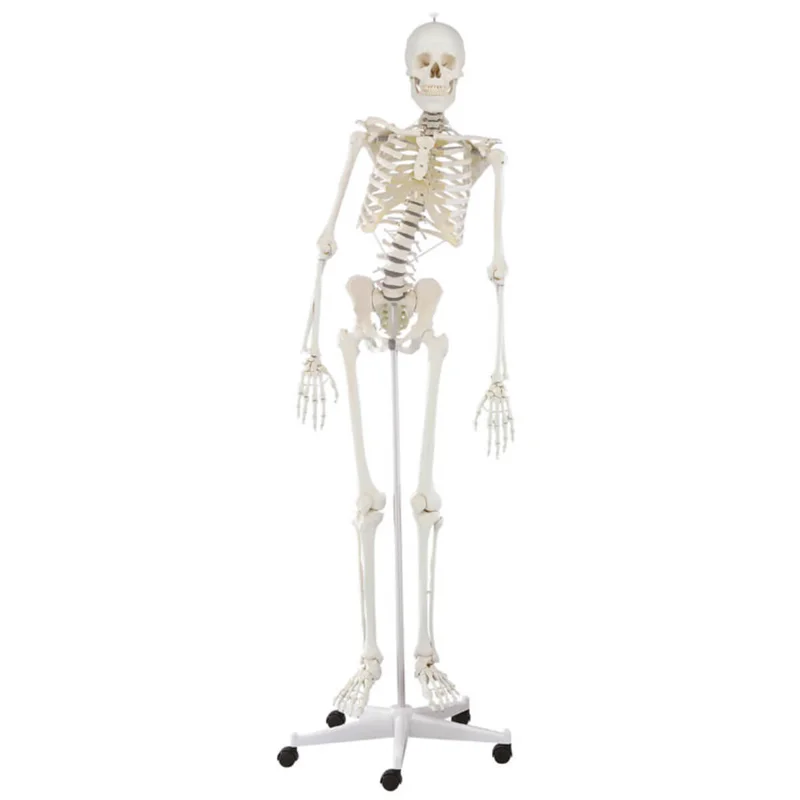 doccheckshop20260710183302658637