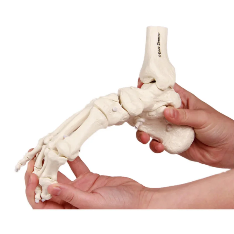 doccheckshop20260710183331658760