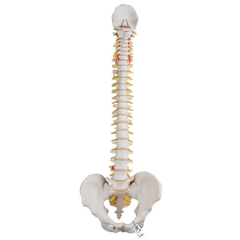 doccheckshop20260710183434659036