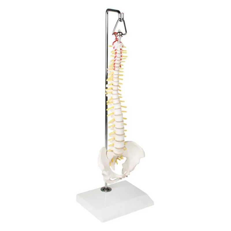 doccheckshop20260710185209663304