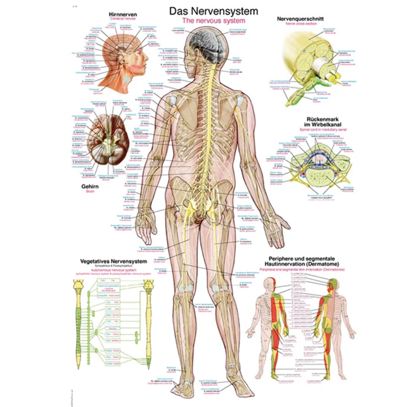 healthcare2420260710173136644817
