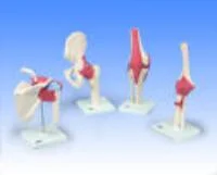 henryschein-med20260710175009648910
