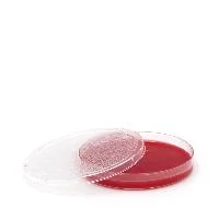 henryschein-med20260710180124651354