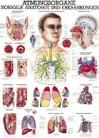 henryschein-med20260710195613676463