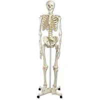 henryschein-med20260710230412709735