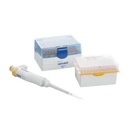 praxicare20260710203804684571